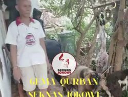 Sejumlah 1 Sapi dan 5 Kambing Jumbo Qurban dari Monisyah Waketum Seknas Jokowi